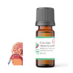 Eskulap - Mješavina eteričnih ulja