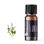 Vodena metvica (Mentha aquatica) 10 ml