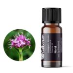 Nard (Nardostachys jatamansi) 1 ml