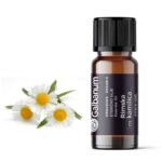 Rimska kamilica (Anthemis nobilis) 1 ml