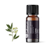 Licea (Litsea cubeba) 10 ml