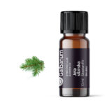 Jela sibirska (Abies sibirica) 10 ml