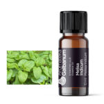 Matičnjak (Melissa Indicum) 10 ml