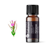 Palmarosa (Cymbopogon martinii) 10 ml