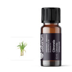 Citronela (Cymbopogon nardus) 10 ml