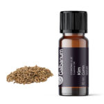 Kim (Carum carvi) 10 ml