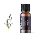 Lavandin (Lavandula hybrida) 10 ml