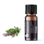 Kadulja (Salvia officinalis) 10 ml