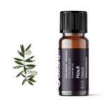 Niauli (Melaleuca quinquenervia) 10 ml