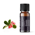 Zimzelen (Gaultheria procumbens) 10 ml
