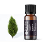 Borovica drvo (Juniperus communis) 10 ml