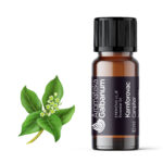 Kamfor (Cinnamomum camphora) 10 ml
