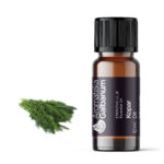 Kopar (Anethum graveolens) 10 ml