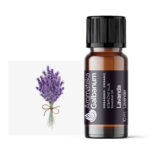 Lavanda (Lavandula vera) 10 ml
