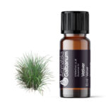 Vetiver (Vetiveria zizanoides) 10 ml