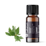 Lovor (Laurus nobilis) 5 ml