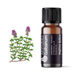 Majčina dušica (Thymus serpyllum) 10 ml